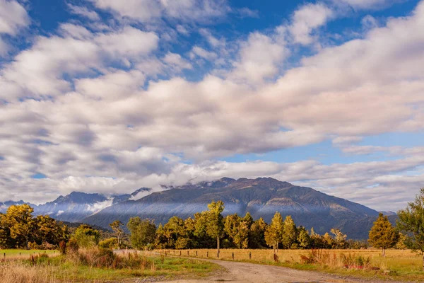 Early Morning Sunlight Farmland New Zealand — Stock Photo, Image