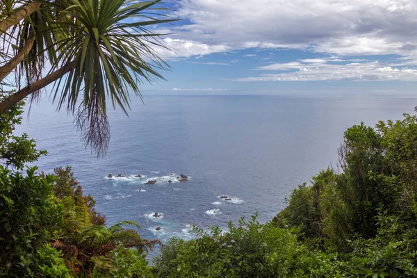 Vista Sul Mare Promontorio Nell Isola Meridionale Della Nuova Zelanda — Foto Stock