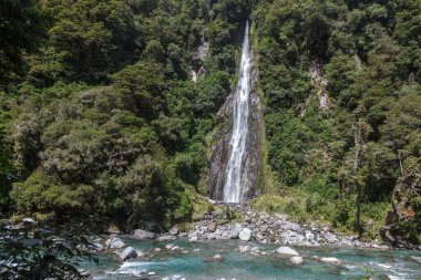Yeni Zelanda 'daki Thunder Creek Şelalesinin manzarası