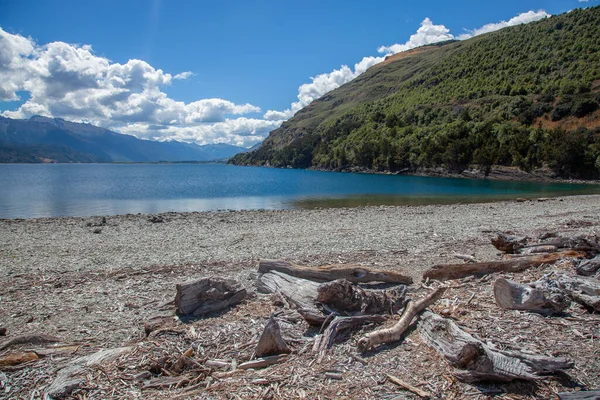 Driftwood Aan Oever Van Het Wanaka Meer Nieuw Zeeland — Stockfoto