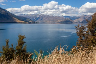 Wanaka Gölü 'nün Yeni Zelanda manzarası