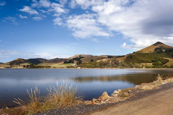 Полуостров Отаго Недалеко Данидина Новой Зеландии — стоковое фото