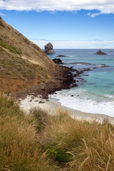 Vista Sandfly Bay Ilha Sul Nova Zelândia — Fotografia de Stock