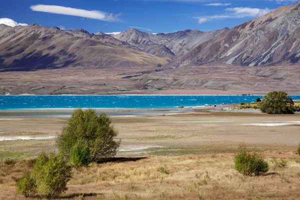 Bir Yaz Günü Tekapo Gölü Manzarası — Stok fotoğraf