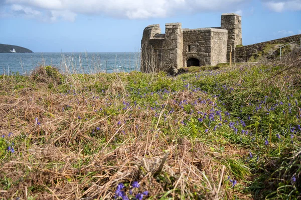 Punkt Pendennis Falmouth Cornwall Maj Widok Fortyfikacje Zamku Pendennis Falmouth — Zdjęcie stockowe