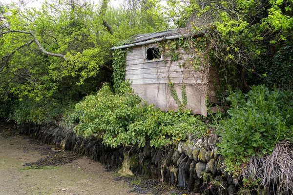 Coombe Cornwall Reino Unido Mayo Antiguo Cobertizo Abandonado Junto Arroyo — Foto de Stock