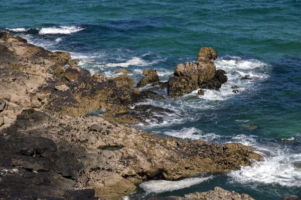 Cornwall Daki Ives Taki Porthwidden Plajı Yakınlarındaki Rocky Sahili — Stok fotoğraf