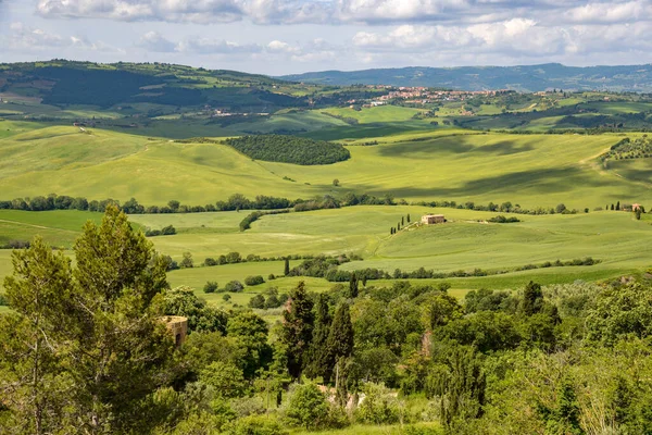 Pienza Tuscany Włochy Maj Miejscowość Val Orcia Koło Pienza Włochy — Zdjęcie stockowe