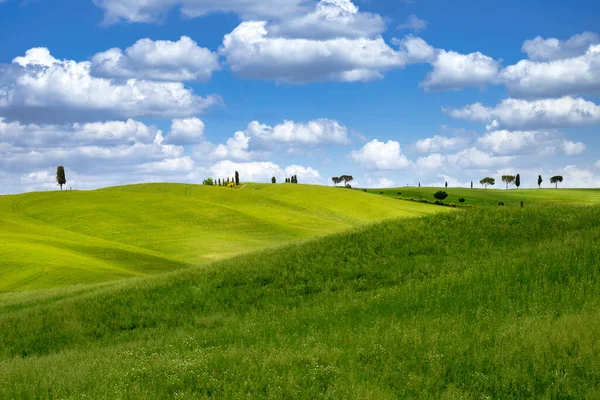 Uitzicht Het Schilderachtige Toscaanse Platteland — Stockfoto