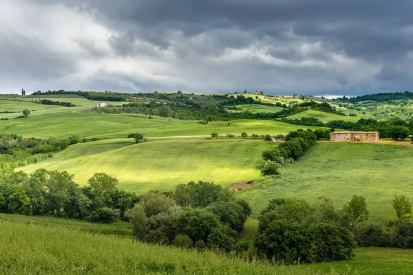 Pienza Tuskany Itálie Května 2013 Zelená Zvlněná Krajina Starý Statek — Stock fotografie