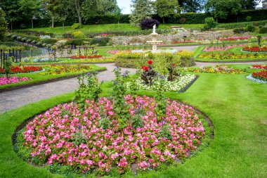 Quarry Park, Shrewsbury, Shropshire, İngiltere 'de çiçek sergisi