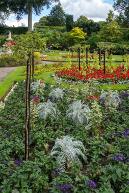 Quarry Park, Shrewsbury, Shropshire, İngiltere 'de çiçek sergisi