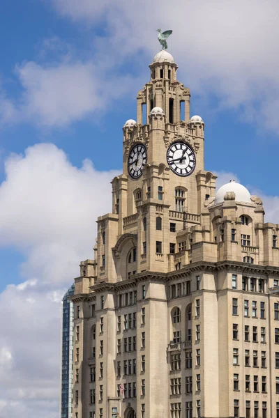Liverpool Velká Británie Června Budova Royal Liver Hodinovou Věží Anglickém — Stock fotografie