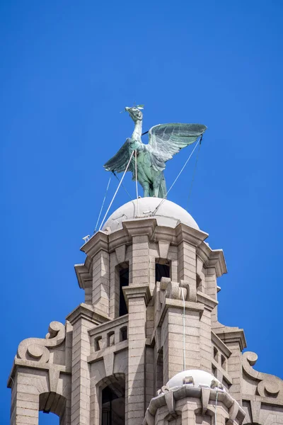 Liverpool Juli Lebervogel Statue Auf Dem Dach Des Liver Building — Stockfoto