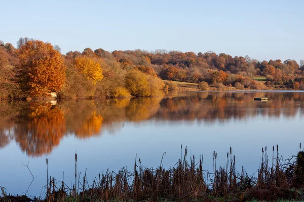 イースト グラント近くのウィアー ウッド貯水池での秋のラッセット色 — ストック写真