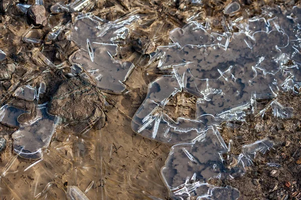 Przełamany Lód Przykrywający Kałużę Elmley Marshes — Zdjęcie stockowe