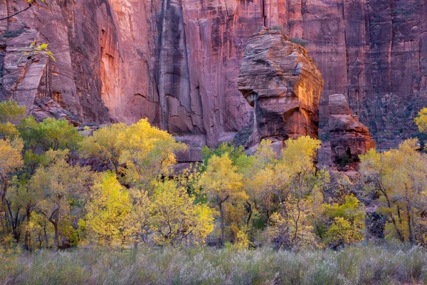 Blick Auf Den Kanzelfelsen Zion Nationalpark — Stockfoto