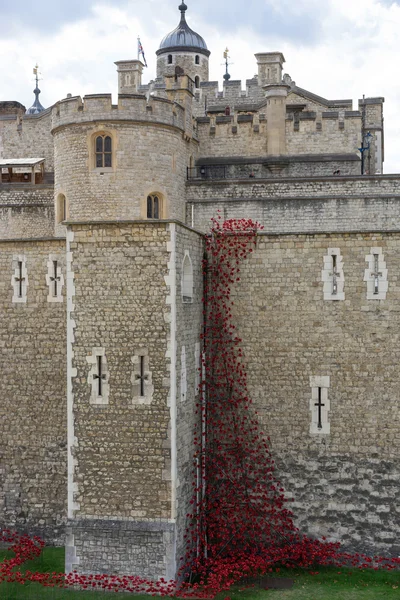 Poppies at the Tower of London — Stock Photo, Image