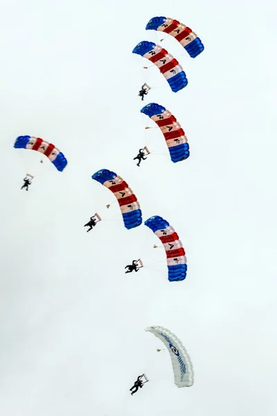 Vorzeigeteam der Falken — Stockfoto