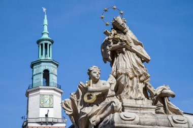 St. John Nepomucene Poznan heykeli
