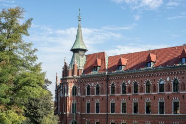 Krakow Polonya 'daki Wawel Katedrali
