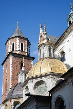 Krakow Polonya 'daki Wawel Katedrali