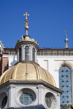 Krakow Polonya 'daki Wawel Katedrali