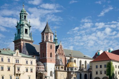 Krakow Polonya 'daki Wawel Katedrali