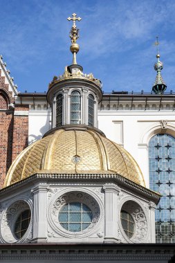 Krakow Polonya 'daki Wawel Katedrali