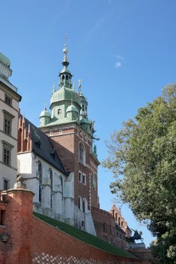 Krakow Polonya 'daki Wawel Katedrali
