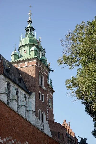 Wawel Cathedral στην Κρακοβία Πολωνία — Φωτογραφία Αρχείου