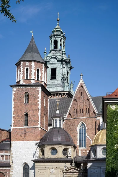 Catedral de Wawel en Cracovia Polonia —  Fotos de Stock