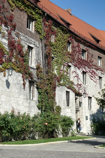 Schloss Wawel in Krakau — Stockfoto