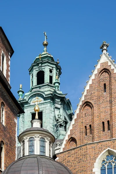 Krakow Polonya 'daki Wawel Katedrali — Stok fotoğraf