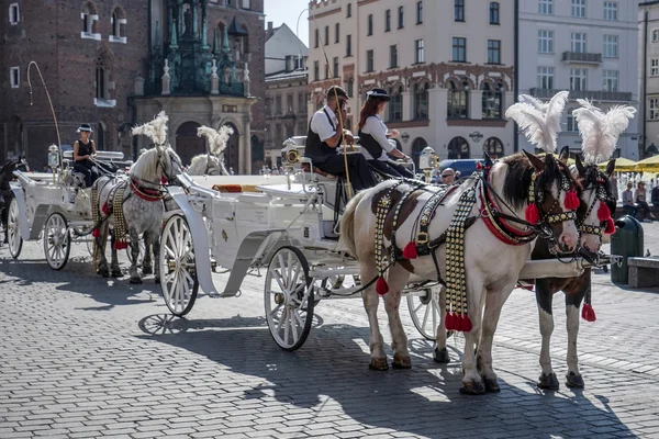 Kočár a koně v Krakově — Stock fotografie