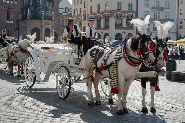 Vagn och hästar i Krakow — Stockfoto