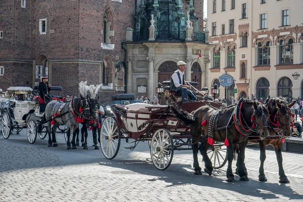 Carrozza e cavalli a Cracovia — Foto Stock