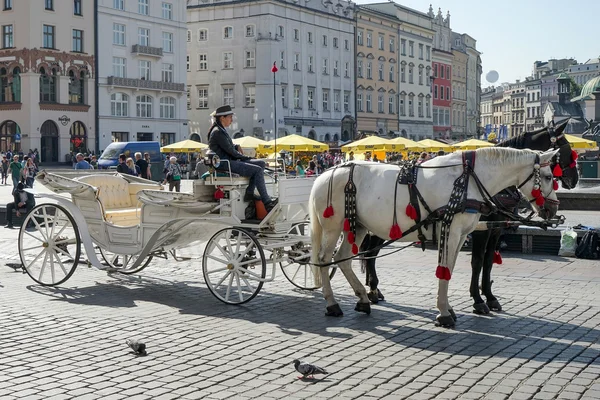 Kočár a koně v Krakově — Stock fotografie