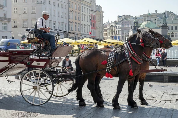 Taşıma ve atları Krakow — Stok fotoğraf