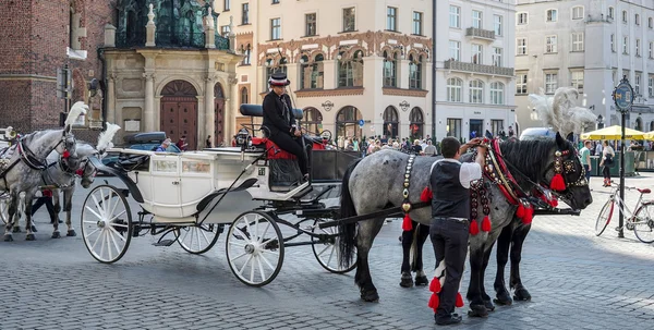 Kočár a koně v Krakově — Stock fotografie