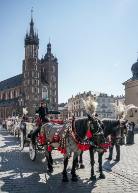 Taşıma ve atları Krakow