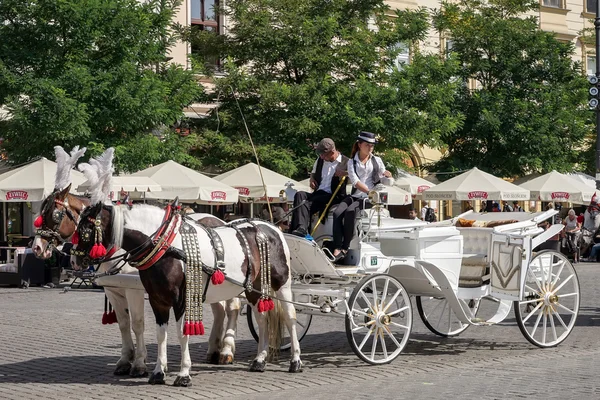 Carriage and horses in Krakow — Stock Photo, Image