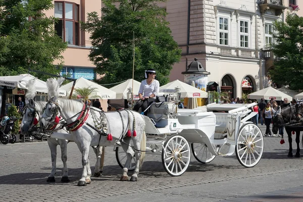 Vagn och hästar i Krakow — Stockfoto