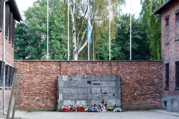 Oswiecim Polonya'daki Auschwitz toplama kampı