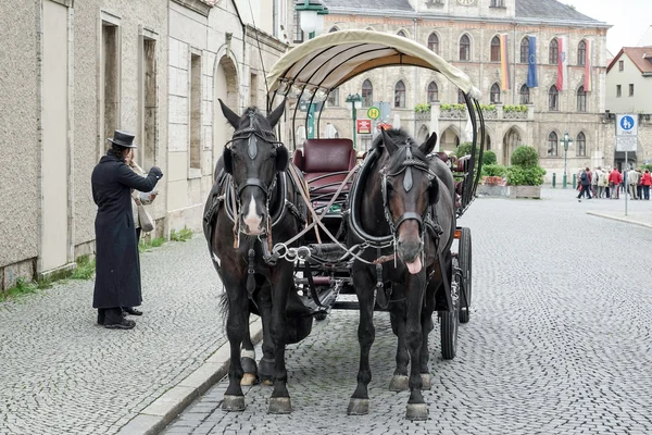 Koně a kočár ve Výmaru — Stock fotografie