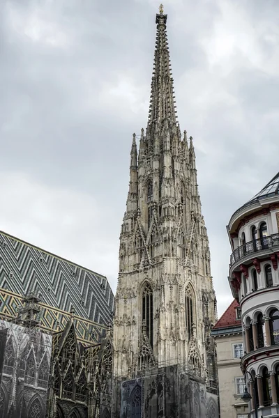 St. Stephans-katedralen i Wien — Stockfoto