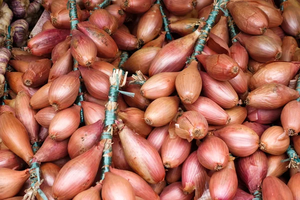 Onions for sale on a market stall in Bergamo — Stock Photo, Image