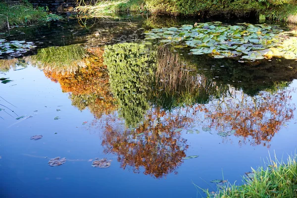 The gardens at High Beeches in Handcross — Stock Photo, Image