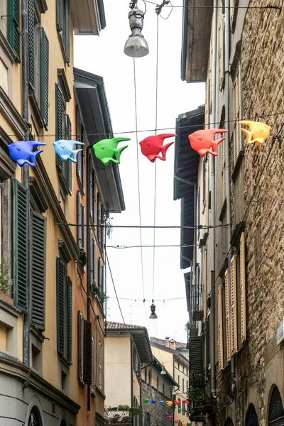 Pescado volador cruzando una calle en Citta Alta Bergamo —  Fotos de Stock