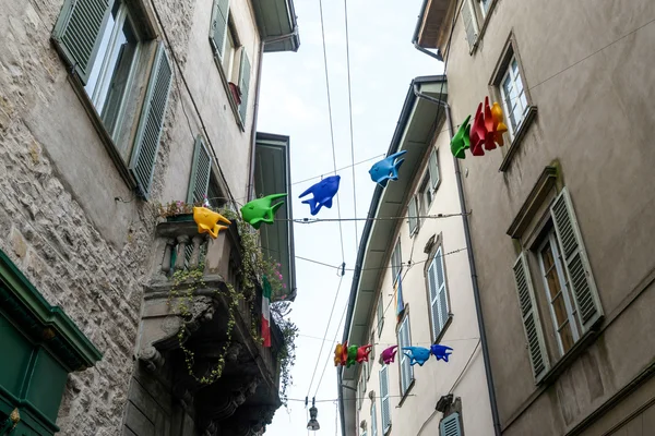 Fliegende Fische über eine Straße in citta alta bergamo — Stockfoto